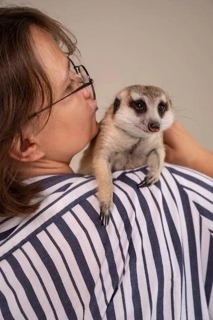 ¿Es un hurón la mascota adecuada para ti?