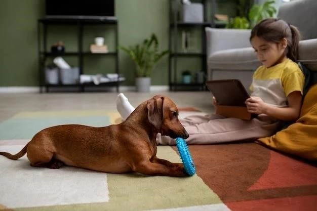 Educación de un cachorro Boxer: Guía completa para dueños primerizos