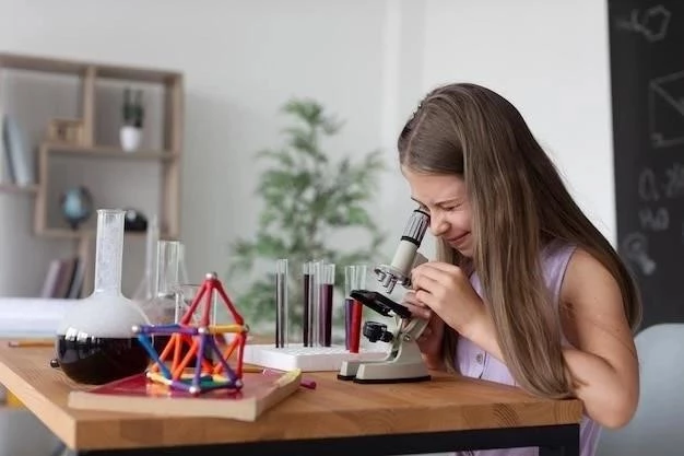 Construye tus propios instrumentos meteorológicos en casa: Experimentos prácticos para la educación STEM