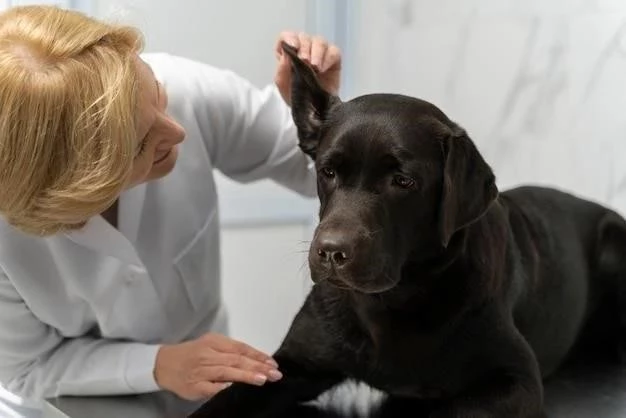 Foliculitis Canina: Causas, Síntomas y Tratamiento