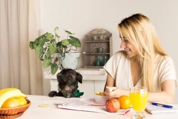 Cómo Entretener a tu Cobaya: Guía Completa para una Vida Feliz y Saludable