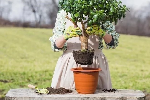 Cómo plantar un árbol frutal