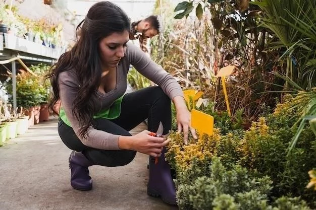 Plantar Flores: Una Guía Completa para un Jardín Exuberante