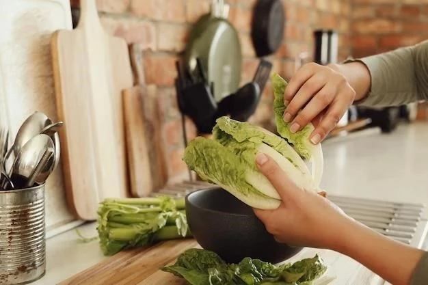 Cómo cocinar repollo al vapor: una guía completa