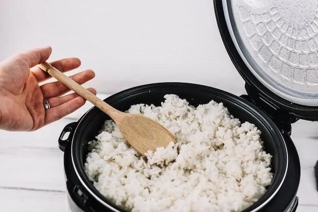 Cómo cocinar arroz perfecto en una olla arrocera para microondas