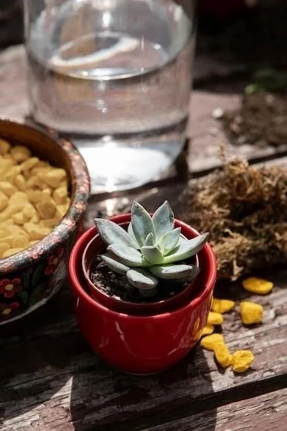 El té de lombrices: Un elixir natural para tus plantas