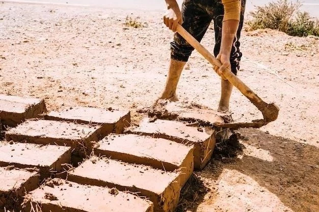 Cómo construir un camino de piedra: una guía paso a paso