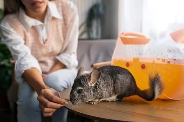 Desparasitación de gatos: guía completa para la salud de tu felino