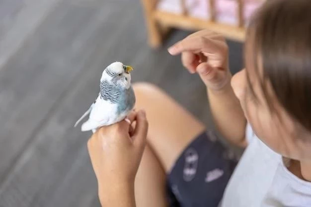 Cómo construir una pajarera para el cuello azul del este