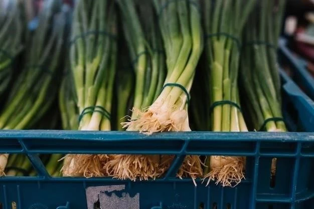 Cómo almacenar tubérculos de dalia para el invierno