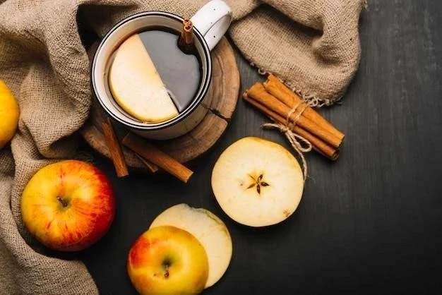 Sidra de Manzana Caliente: La Bebida Perfecta para el Otoño e Invierno