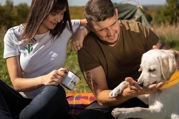 Cómo crear un servicio de rescate de animales sin ánimo de lucro