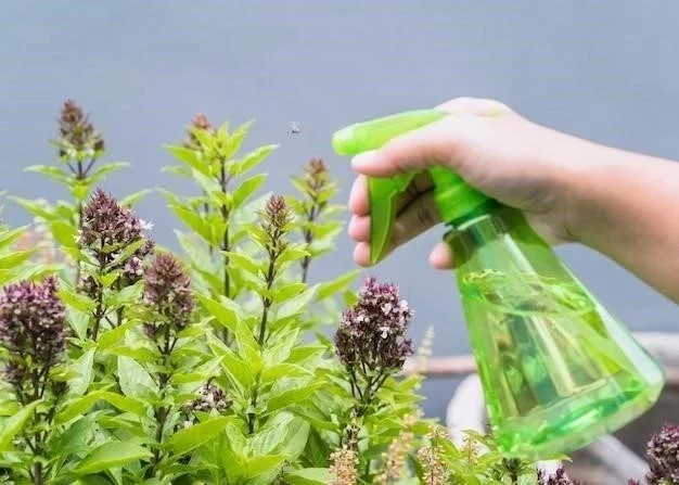 Cultivar salvia: una guía completa para principiantes