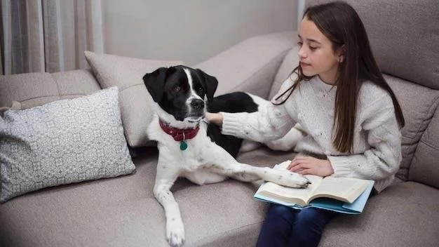 Cómo librar a tu perro del miedo: Una guía completa