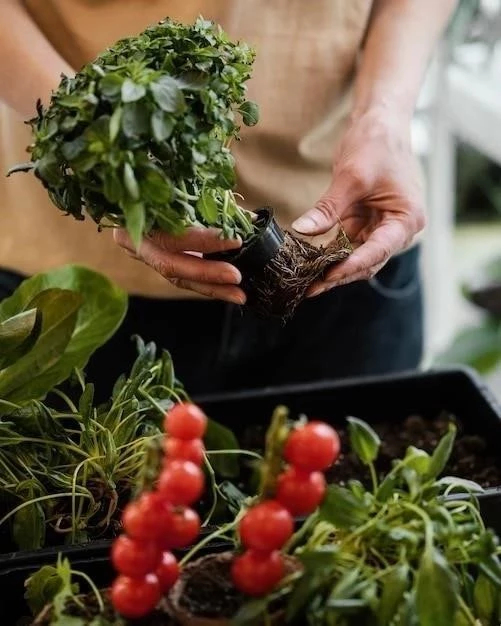 Cultivar Tomates: Una Guía Paso a Paso