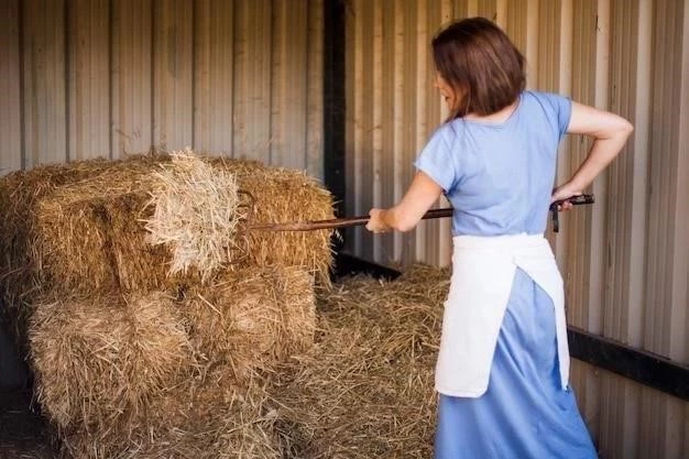 Cómo hacer heno de alta calidad: una guía paso a paso